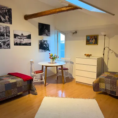 Kulttuurimiljoeoe Jaerven Rannassa Appartement Turku